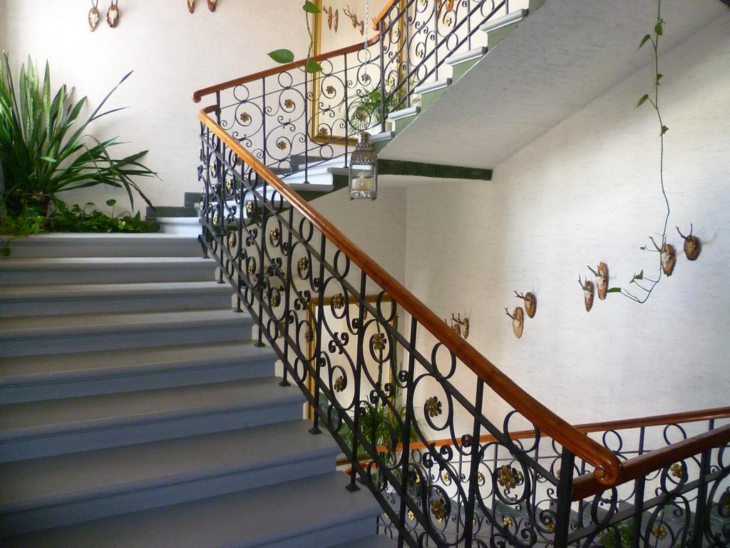 Hotel Koruna Jeseník Buitenkant foto